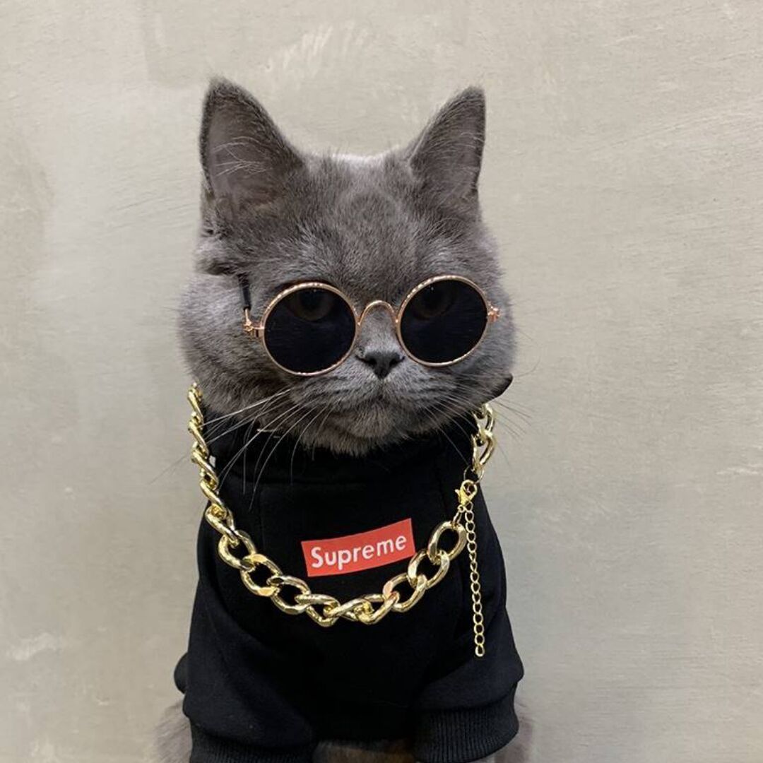 qq_丨96
