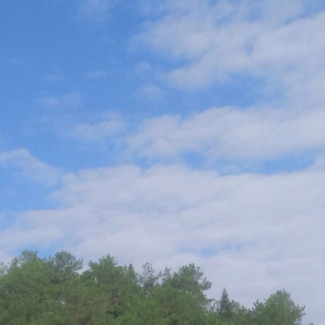 半岛＆茶扉