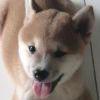NANAQINA-【TITAIKE】T太科网