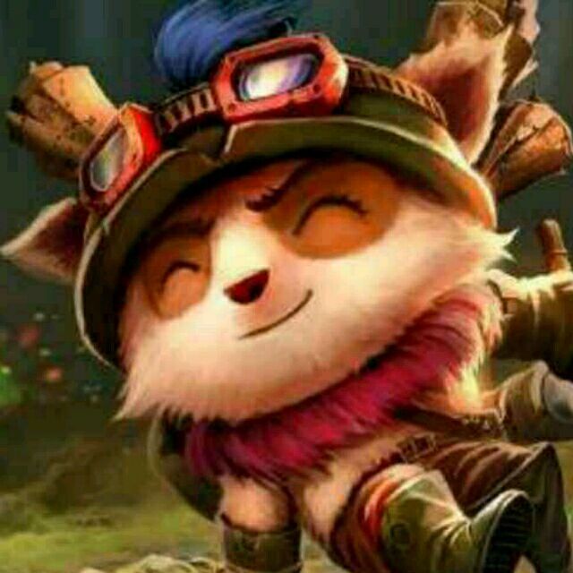 qq_cll13