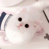 rururu-【TITAIKE】T太科网