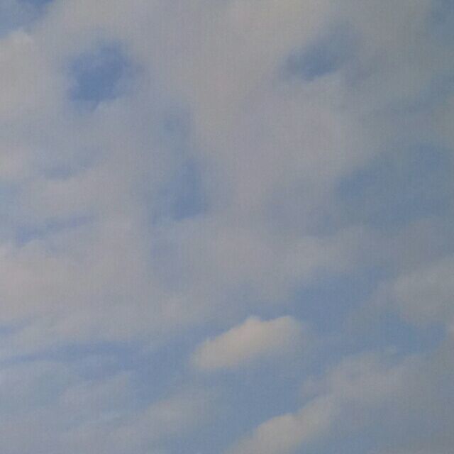 qq_张    婷19