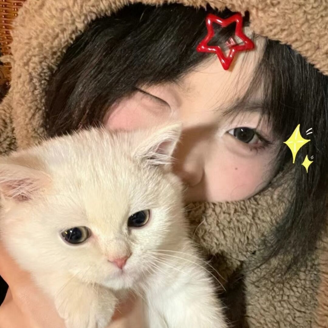 用户头像