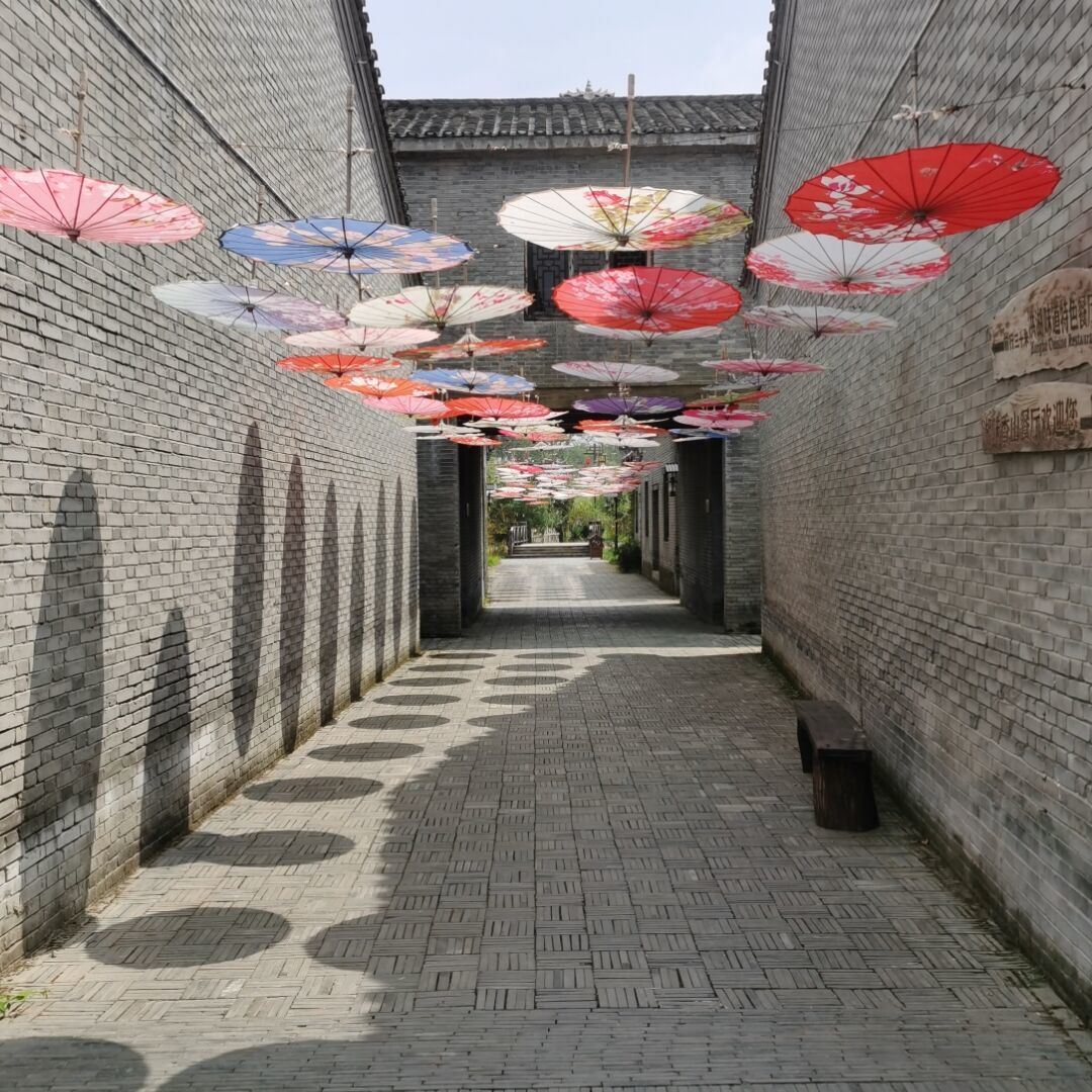 qq_欣赏一只猫74