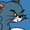 北门街猫-【TITAIKE】T太科网