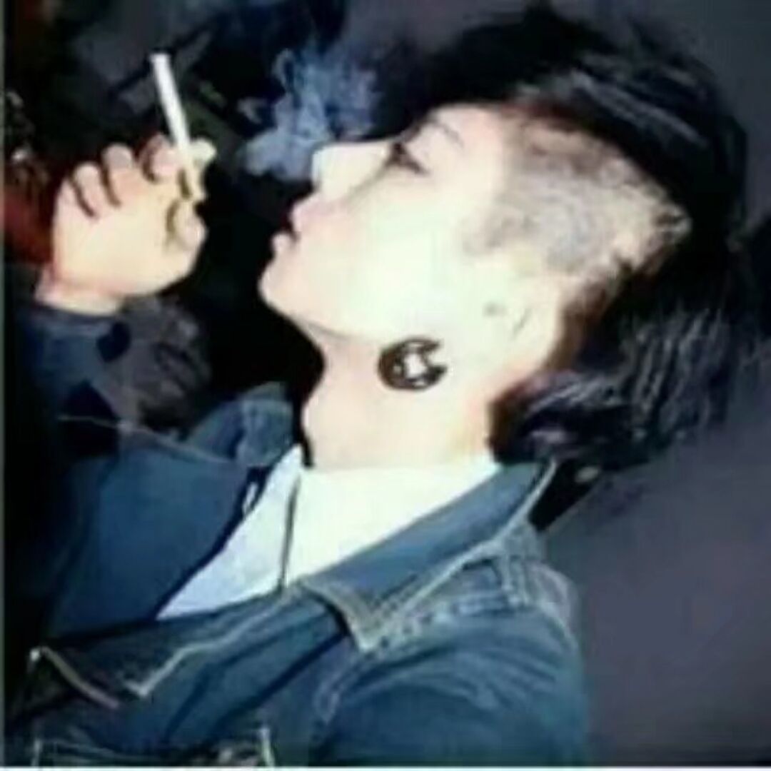 qq_这位韩先生41