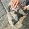hwhhhh111-【TITAIKE】T太科网