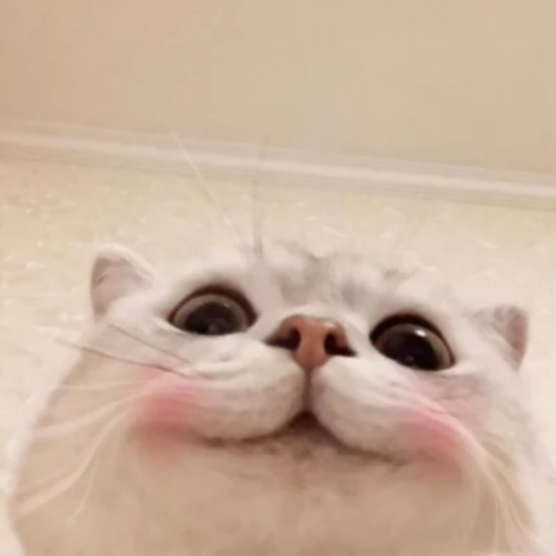 qq_-47