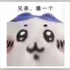 冷静-【TITAIKE】T太科网