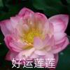 ABDENG-STL下载网_3D打印模型网_3D模型库_3D打印模型素材_3D打印机
