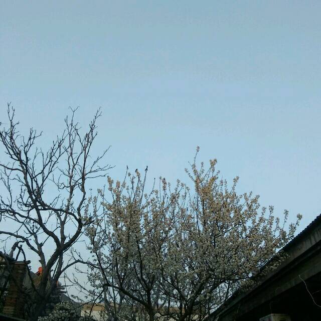 qq_爱60