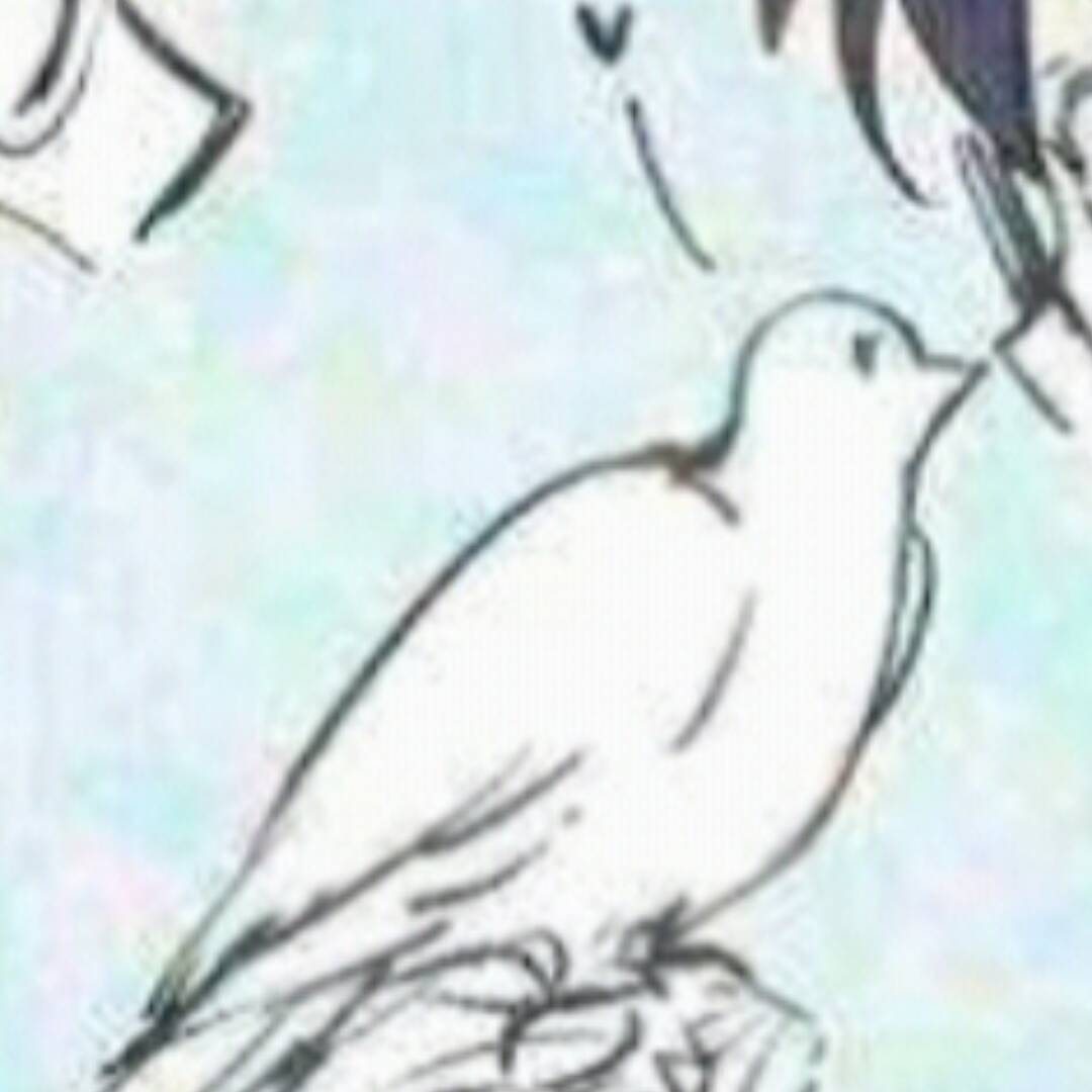 qq_一起向未来56