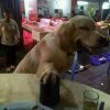姚廷宗-风行者社区