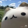 chuyujiangjiang-【TITAIKE】T太科网