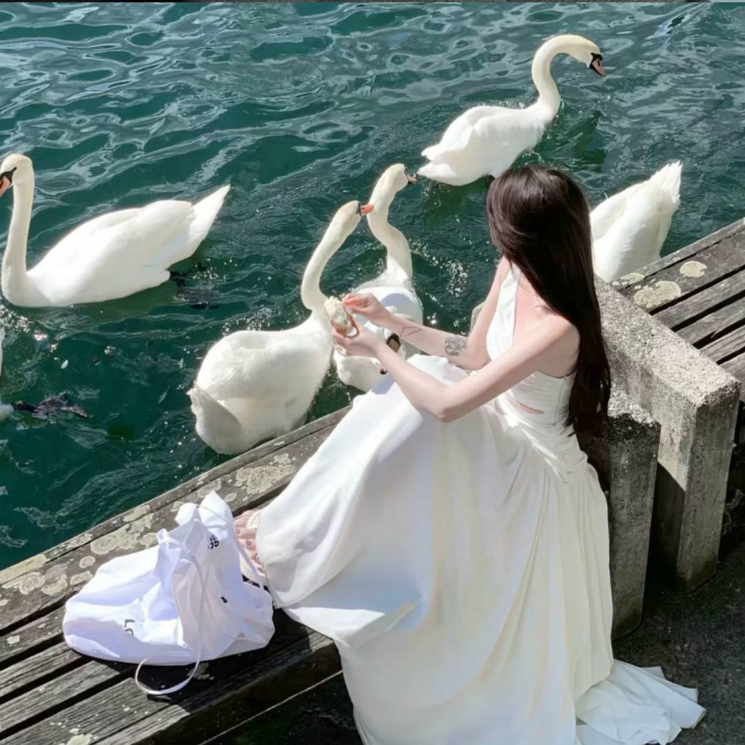 qq_花海.63