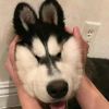 Brzmzxx-【TITAIKE】T太科网