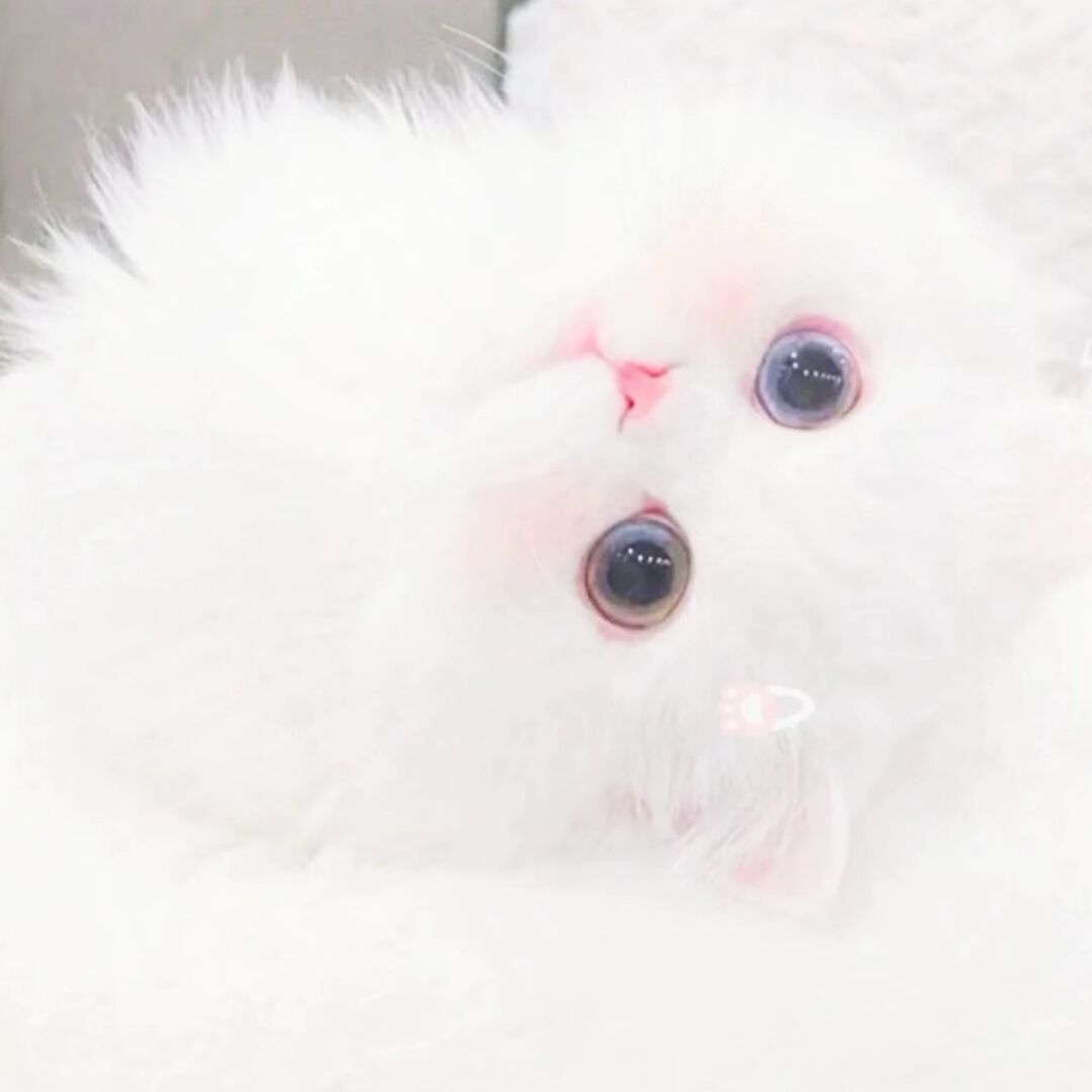 qq_不会说话57