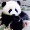rainbowbaby-【TITAIKE】T太科网