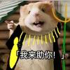 我也想守护世界啊-云梦泽