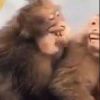 OO昵称