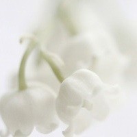 qq_可爱的你76