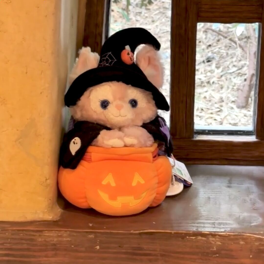 qq_ㅤㅤㅤㅤㅤㅤㅤㅤ75
