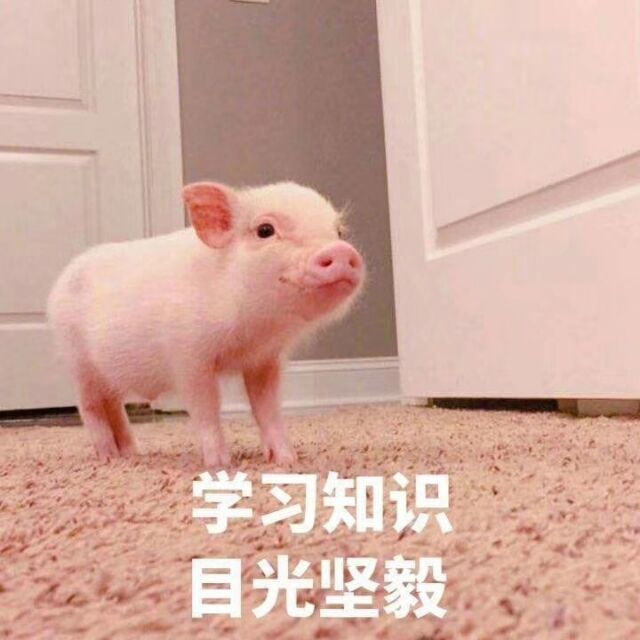 qq_udhdjdjd64