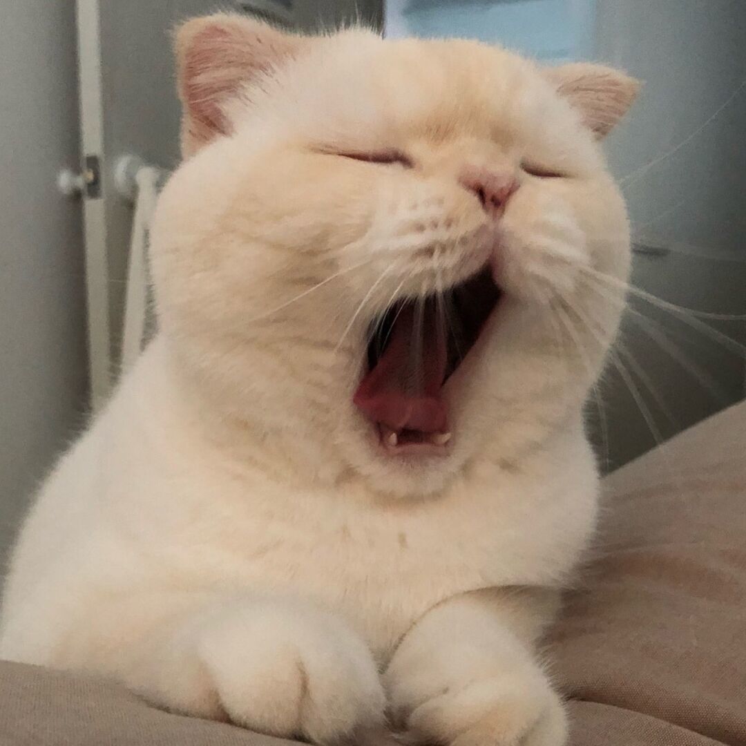 qq_Y.76