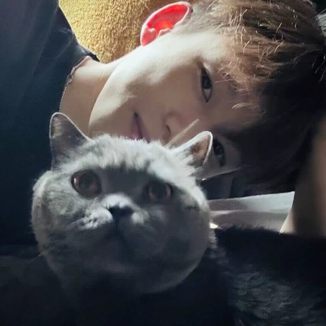 qq_，43