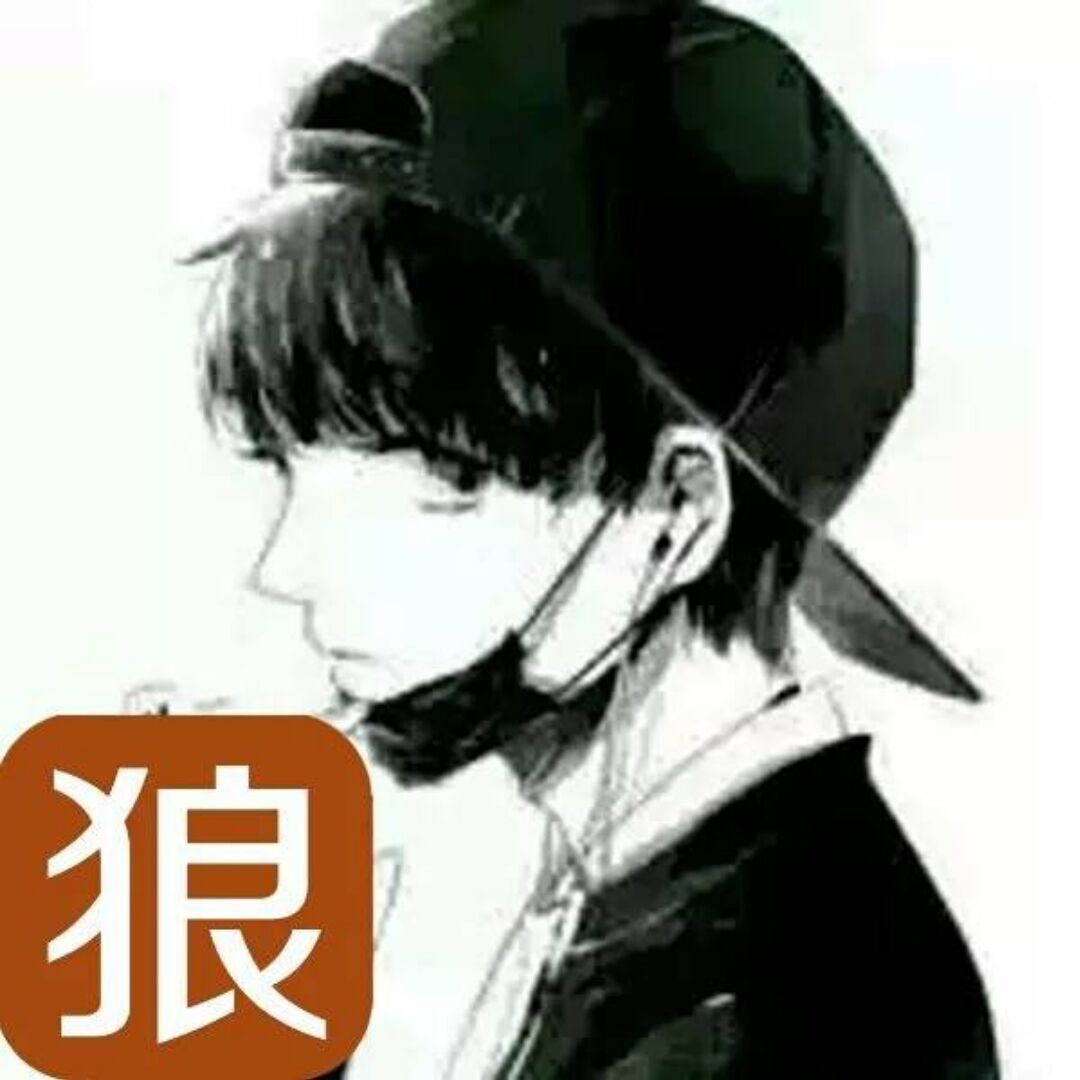 qq_孤狼99