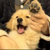 aaajiu-【TITAIKE】T太科网