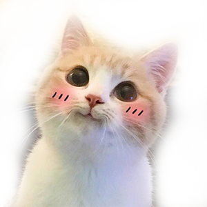 小黑先森并不黑✨