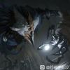 fgv1111-【TITAIKE】T太科网