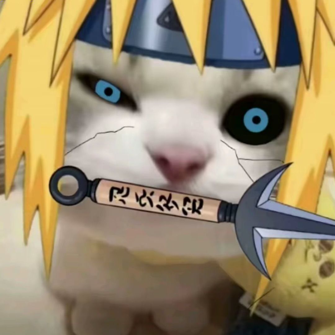qq_fff72