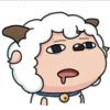 carrot_lk-【TITAIKE】T太科网