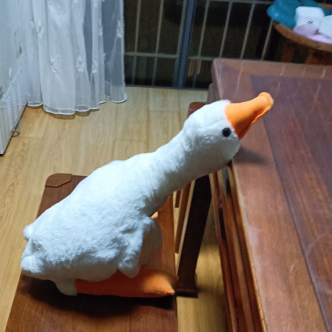 qq_秋天81