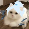 王鑫鹏-【TITAIKE】T太科网
