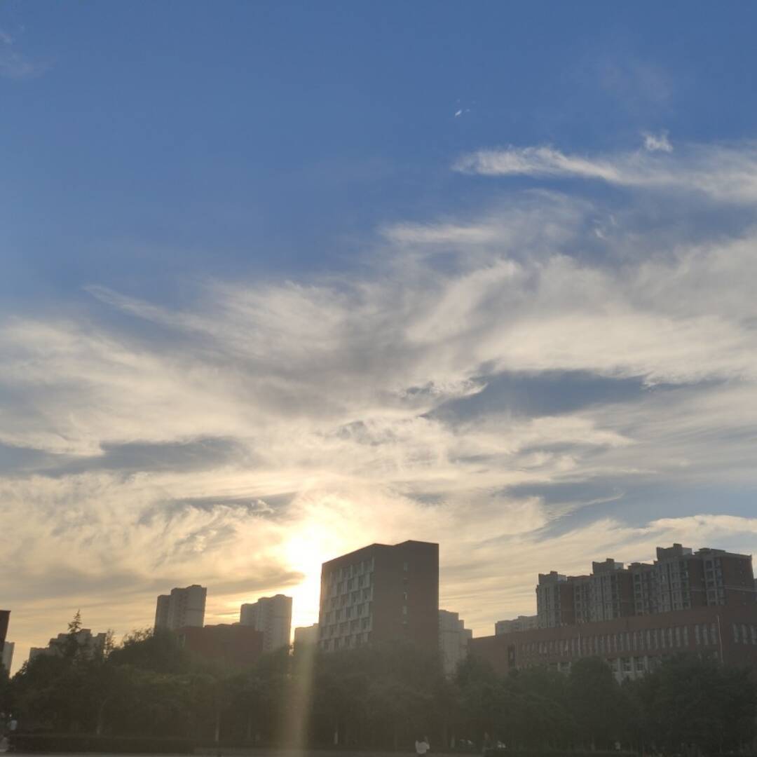 qq_积极向上54