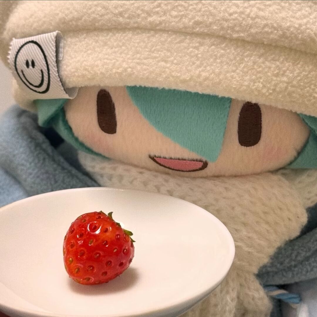 qq_小琳物念69