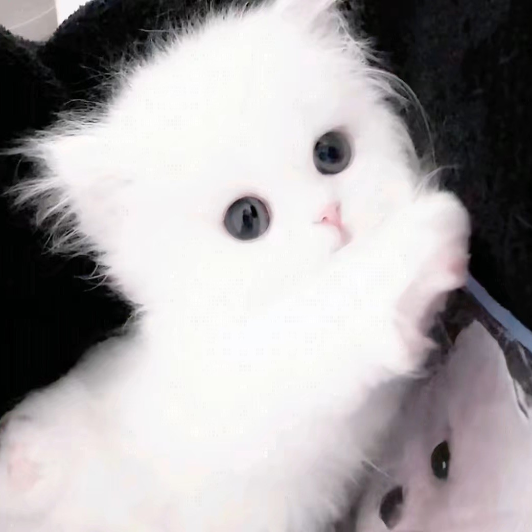 qq_。79