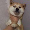 kivkun-【TITAIKE】T太科网
