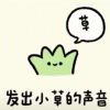 3113ss-【TITAIKE】T太科网