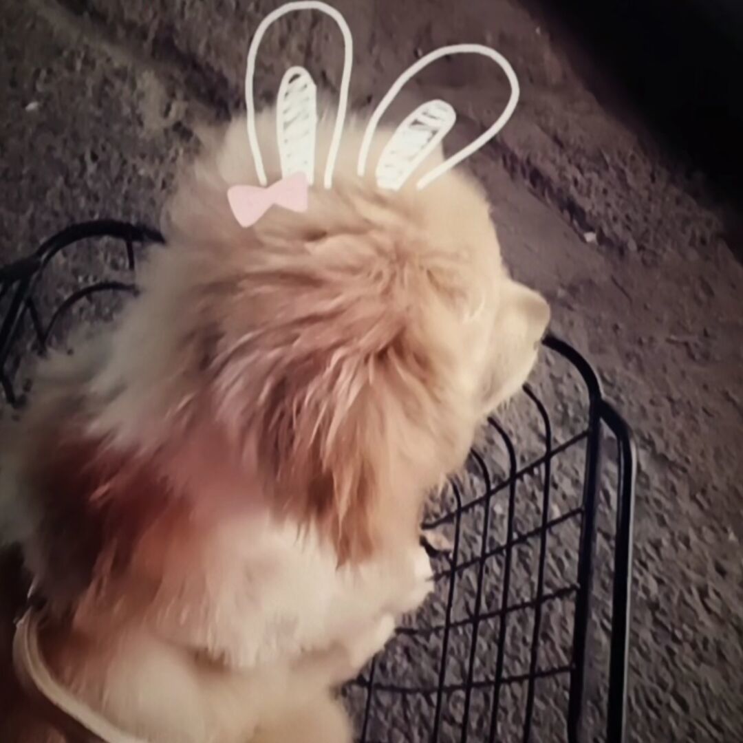 qq_Aaaa68