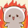 ʕ ᵔᴥᵔ ʔ