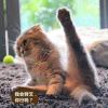 shenjingbing123 - 极核GetShell
