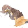 TAKASHIMA233-【TITAIKE】T太科网
