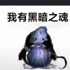 13589182575sf-【TITAIKE】T太科网