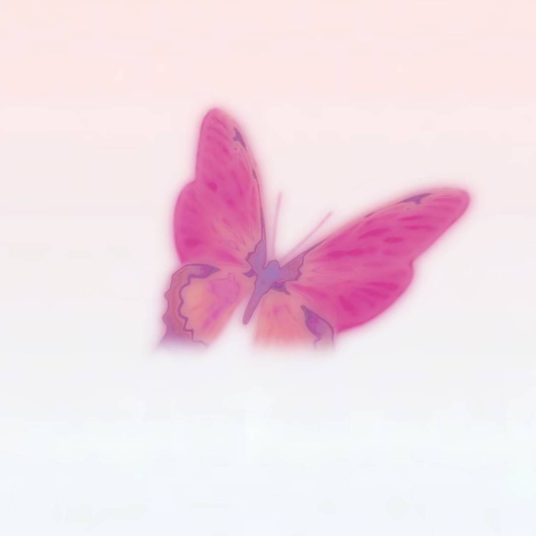 myyyz૮₍ˊ•ᴥ•.ˋ₎ა