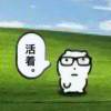 sunbin-【TITAIKE】T太科网