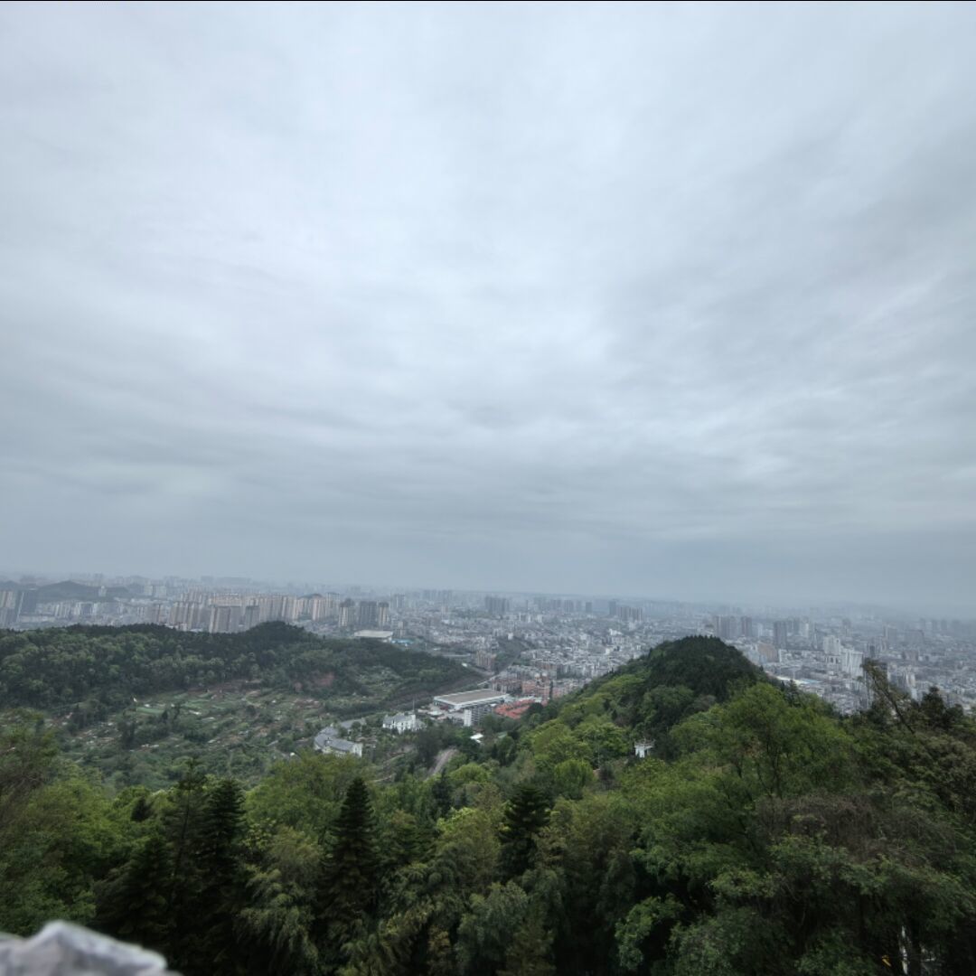 qq_到底要怎样79